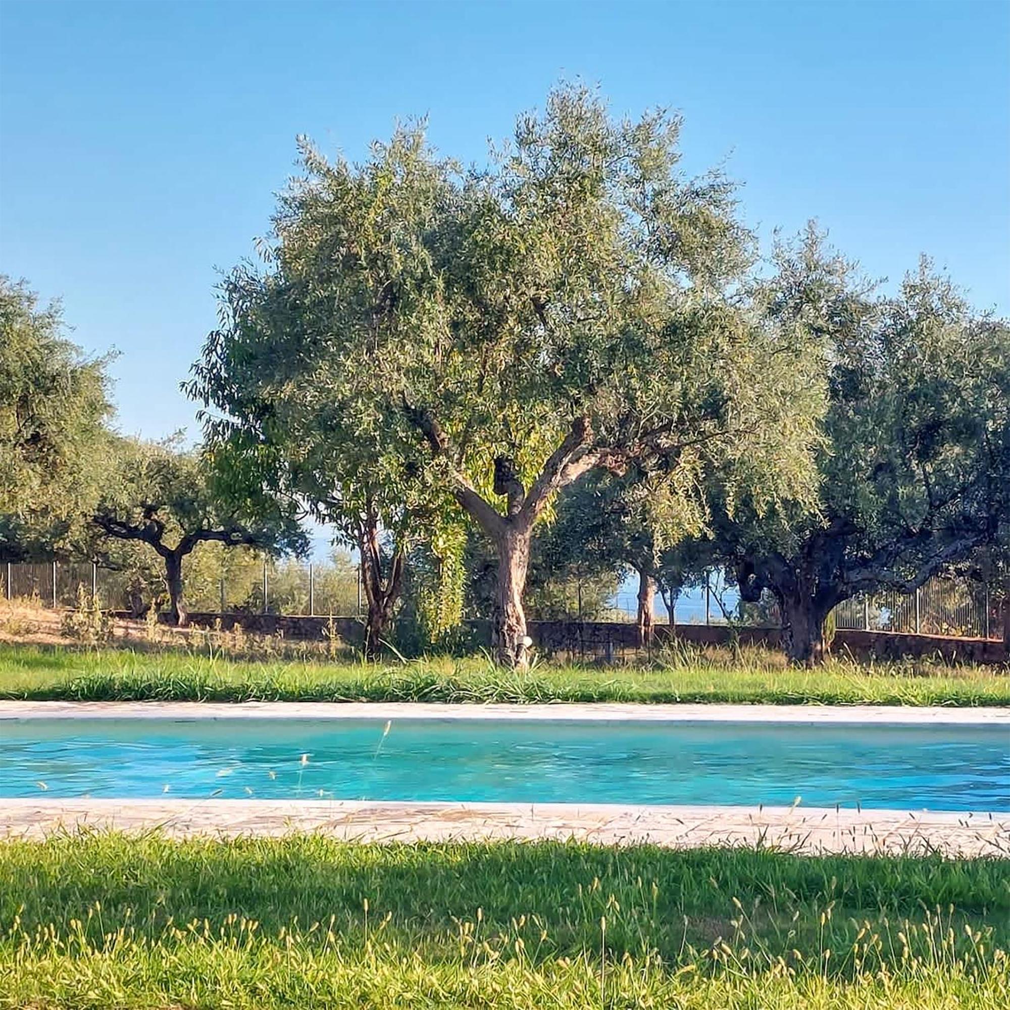 Villa Eleni - Private Pool Bliss Near Kardamili Proástion Exteriér fotografie